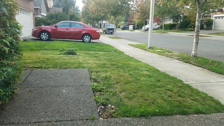 grand 19f5cd5576 768x432