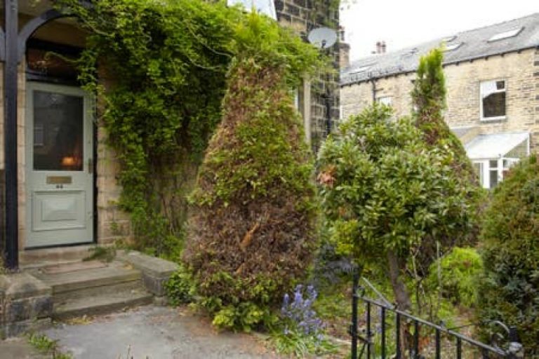 grand 67d924555f 768x512