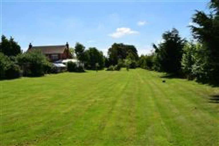 grand dc4d60bfa3 768x514