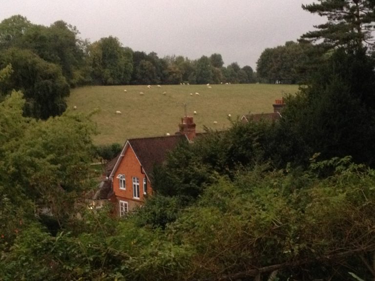 grand d982401bb6 768x576