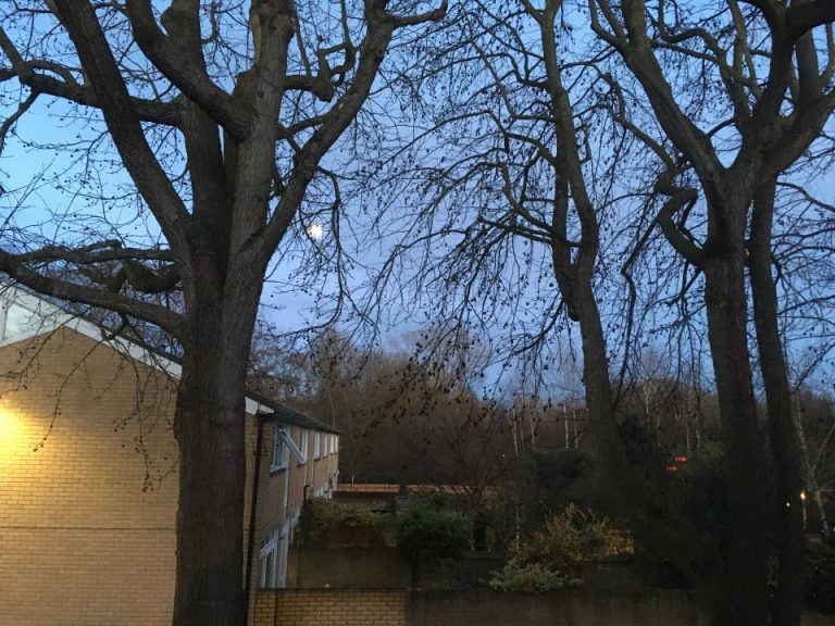 grand f9a7df9098 768x576