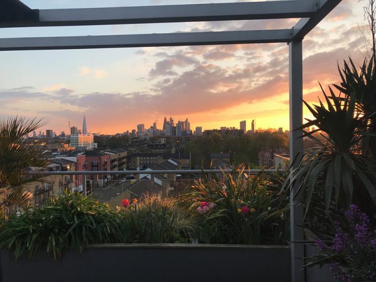 newham views 768x576