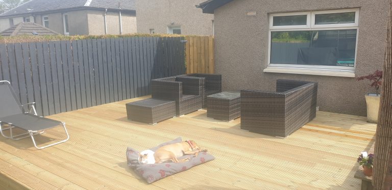 20210511 132012 768x373