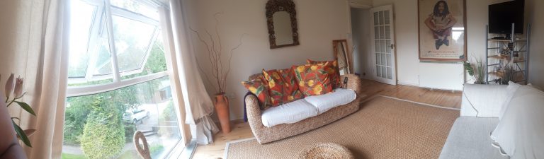 20210601 163751 768x225