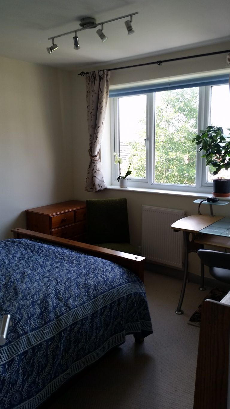 20210809 151920 768x1365