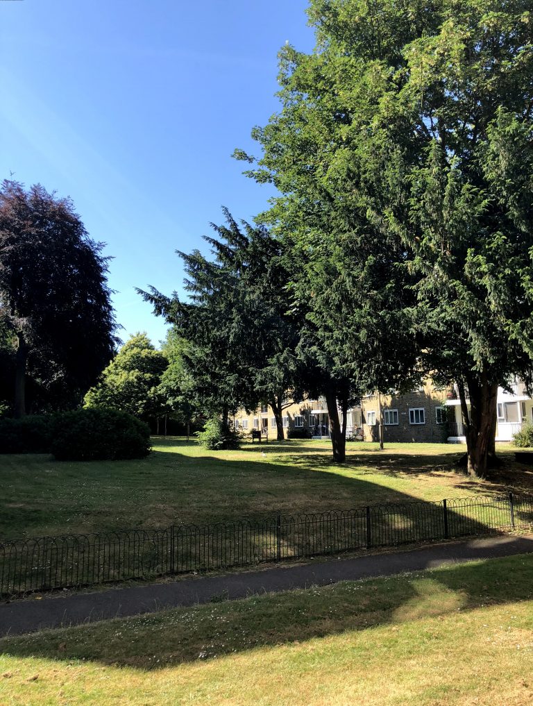 IMG 1646 1 edit 36433274386107 768x1017