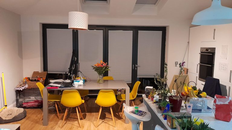 20210302 204634 768x432