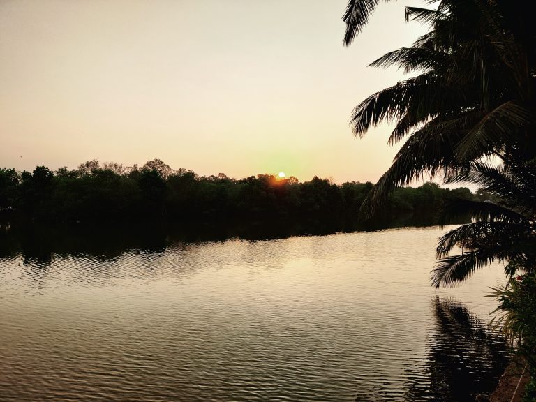 IMG 20220207 181731 768x576