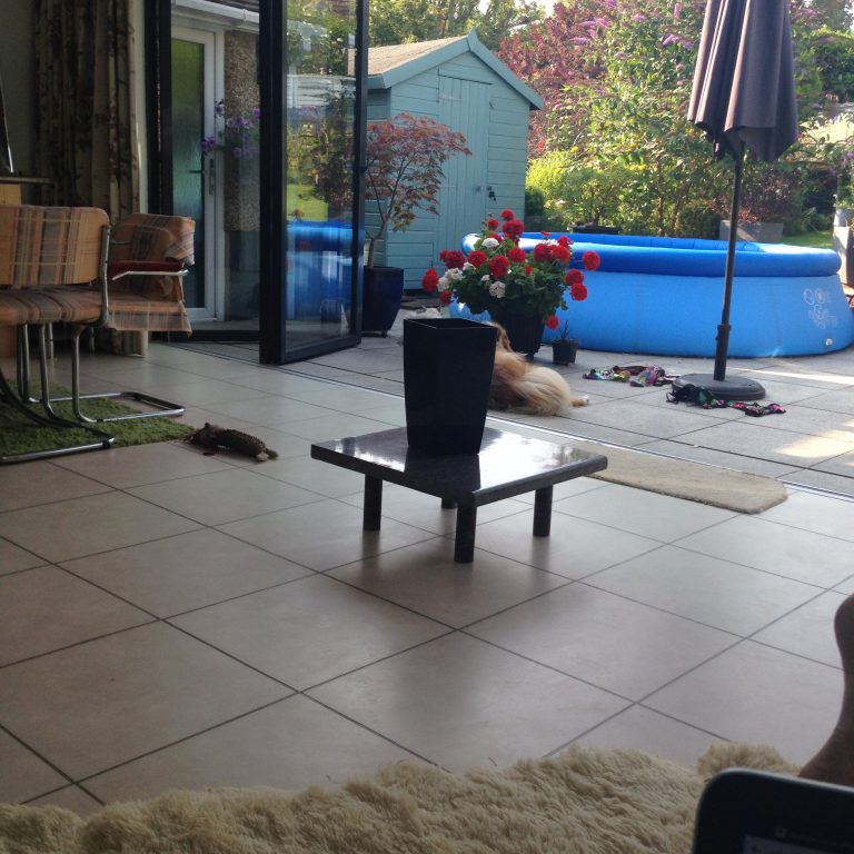 C516831F 3630 4E63 A1C2 D9380F6A7FA8 768x768