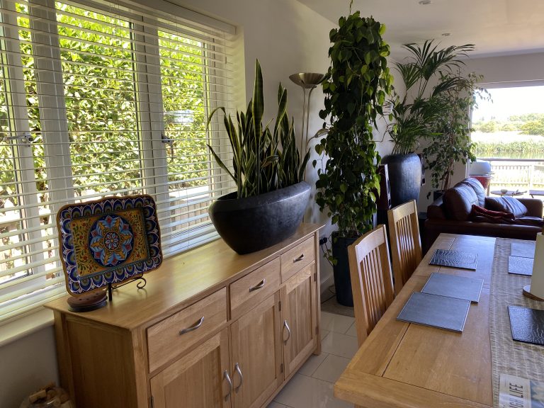 504A81B8 B2AF 452A 8A77 4AF61B8803AB 768x576