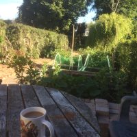 House share in Kings Heath Birmingham