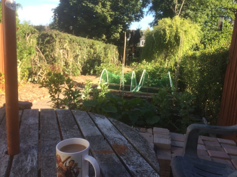 breakfast on the patio 768x576