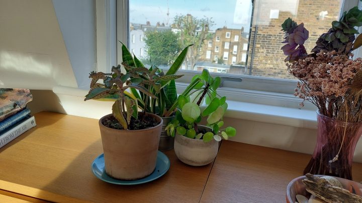 Healthy Living Principles Applied To Flatshare