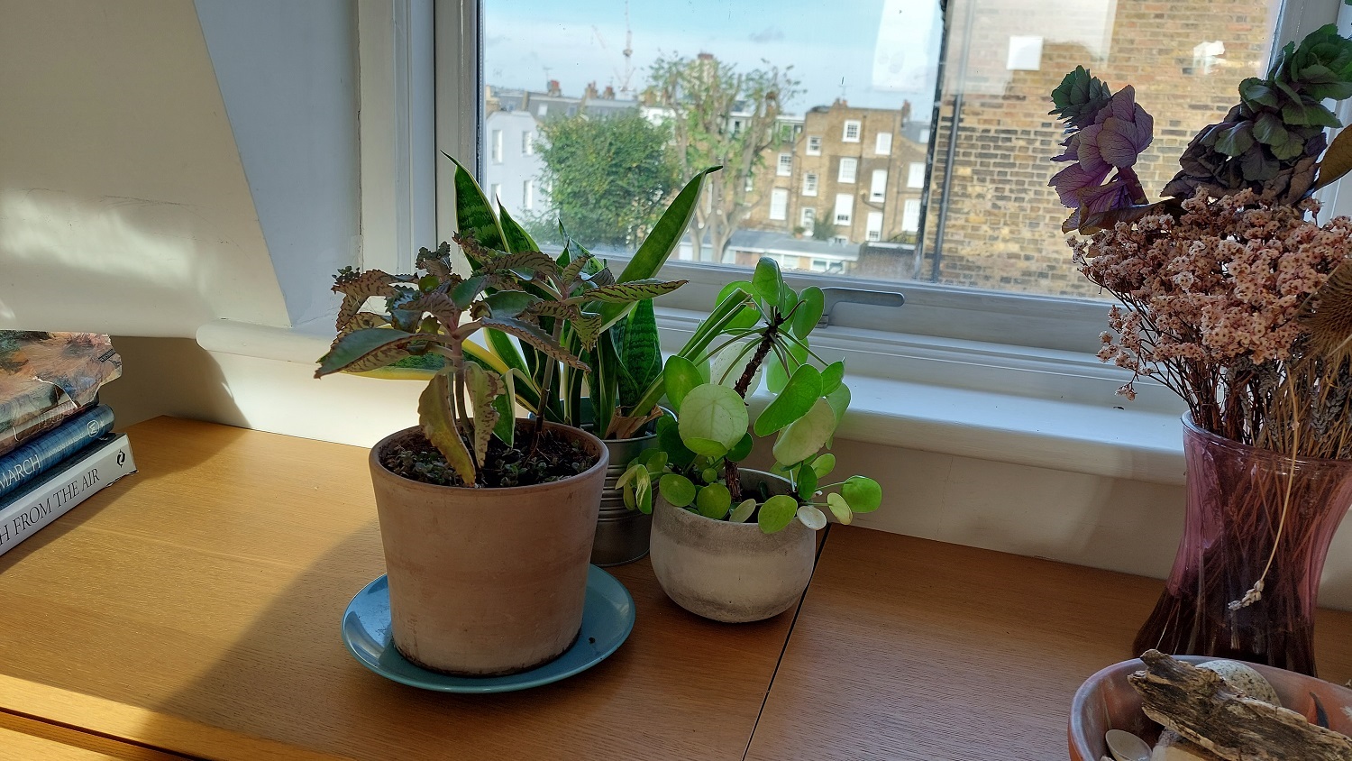 Healthy Living Principles Applied To Flatshare