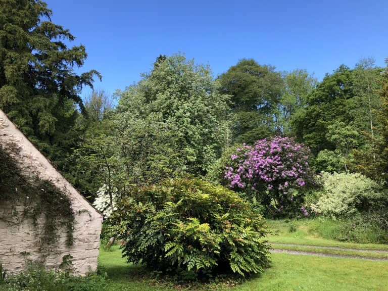 308142E7 9AD3 48D8 ACC8 53ED0E2D83FD 768x576