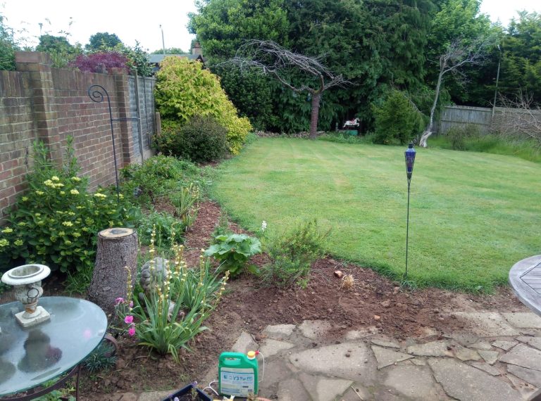 IMG 20230524 WA0029 768x570