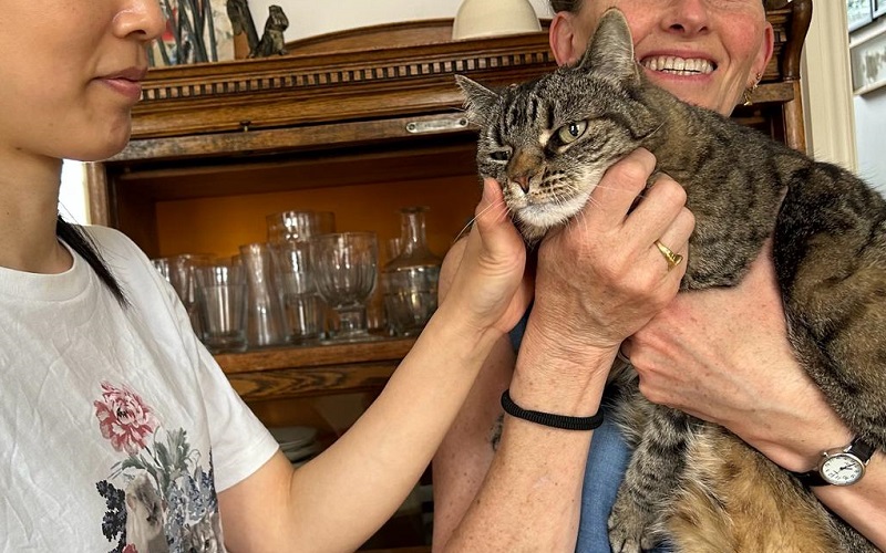 Picture of one person holding a cat close with another stroking it.