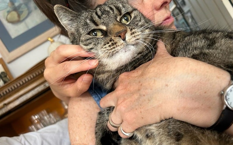 Cat being held by landlady and lodger