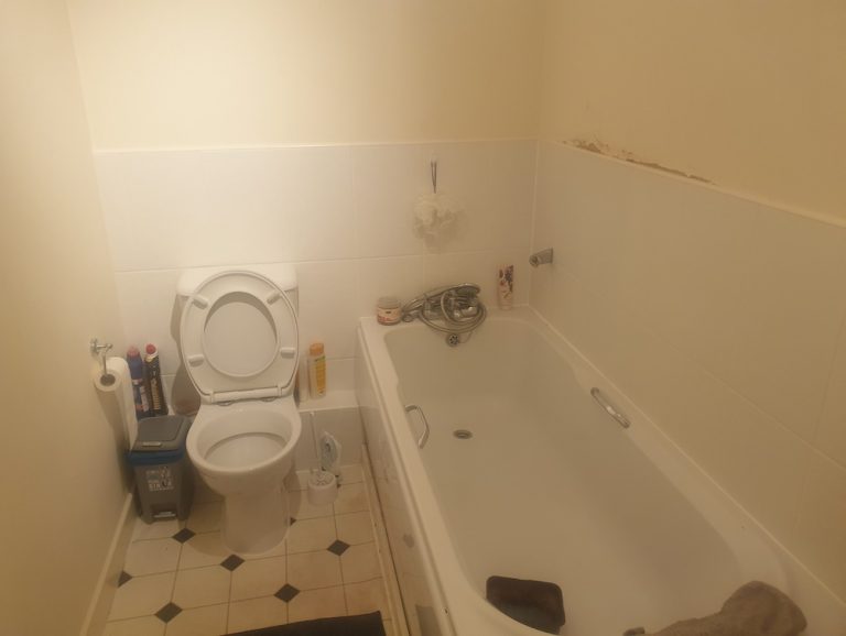 bathroom 2 768x578