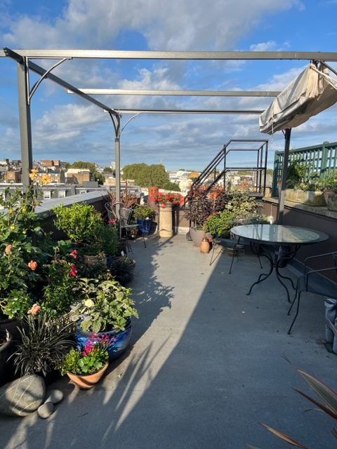 London flatshare near Lancaster gate