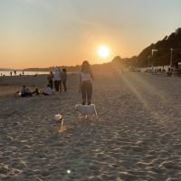 Romsey Hampshire house mate