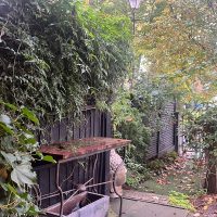 Room to rent in Brook Green London