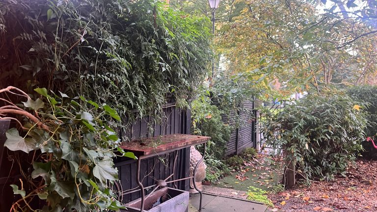 8E24258F C02D 4FF9 B26D 23752A5A958C 768x432