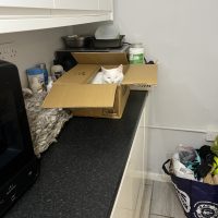 room in house share with pets in Rochester Medway Kent