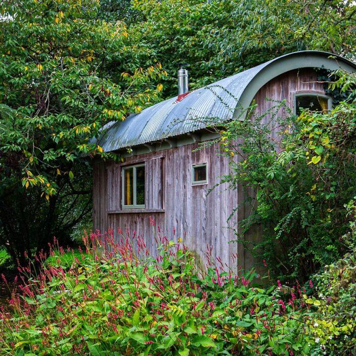 Shepherds Hut At Selgars Mill