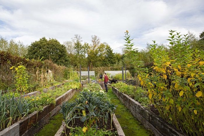 Selgars Vegetable Garden at mature coliving retreat
