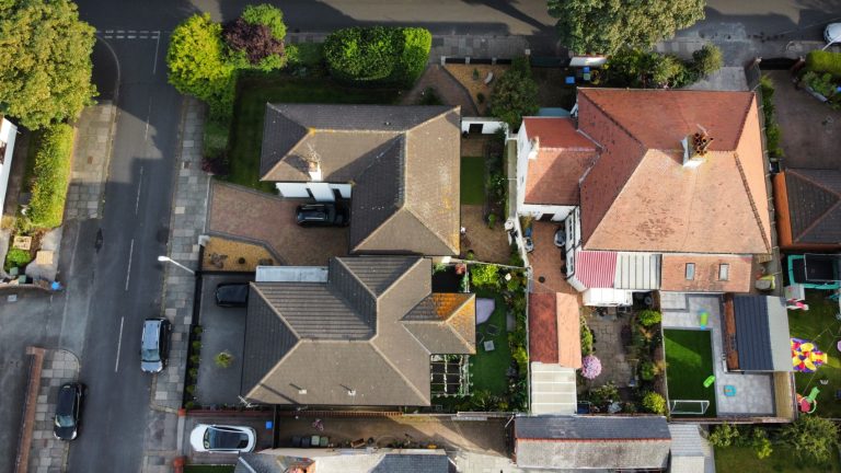 Treetops 07 20072024 768x432