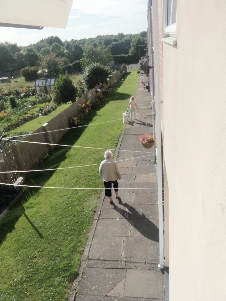 IMG 20240811 092659 768x1024