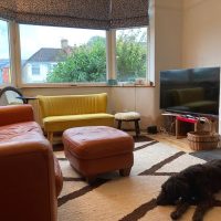 Room with rug, dog and two sofas