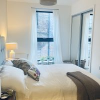 Double bed in bright modern style bedroom for rent