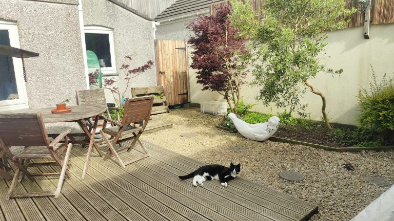 back garden 1 1 768x432