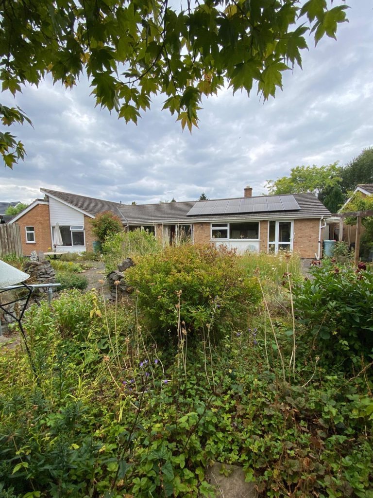 IMG 20250714 WA0011 768x1024