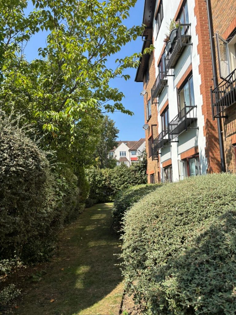 8a699c42 2a98 4b6b 9947 26f134fda806 1 768x1024