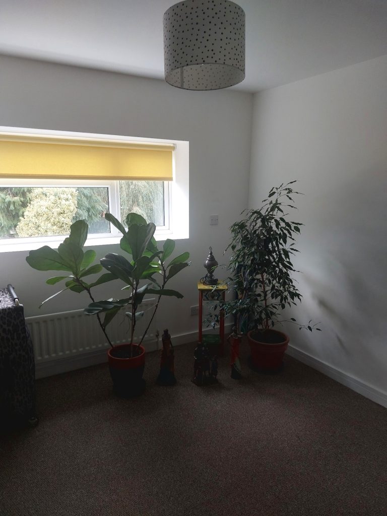 20251018 170757 768x1024