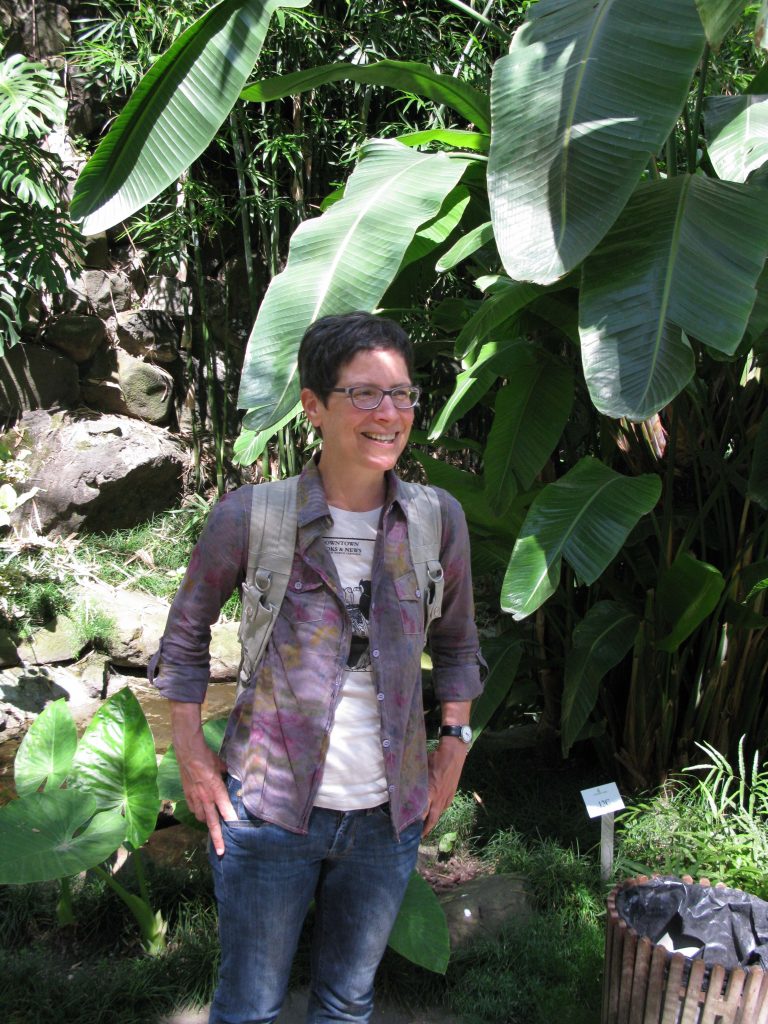 IMG 0550mittel 768x1024