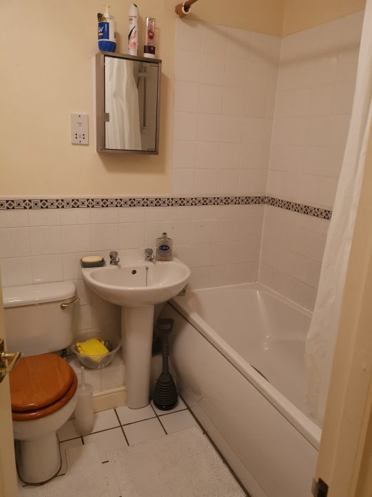 17625886685915138821233067925528 540x720