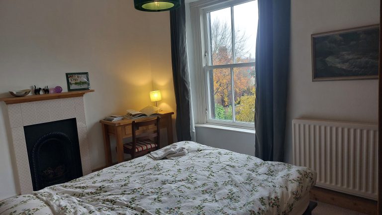 20251104 090539 768x432