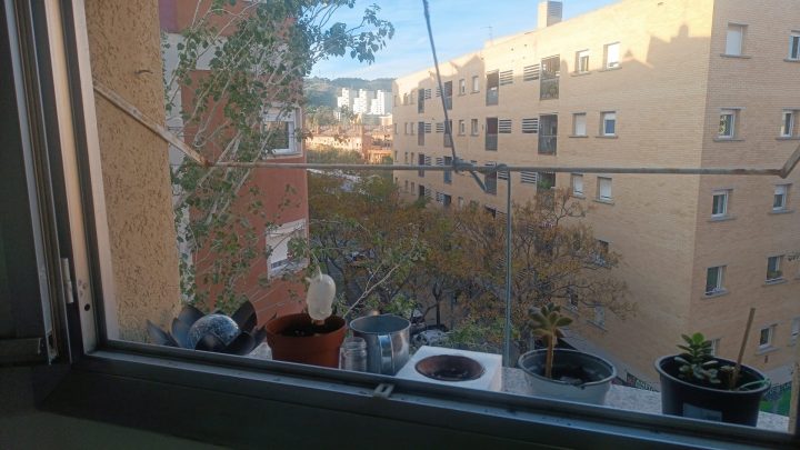 WhatsApp Image 2025 11 11 at 07.23.13 720x405