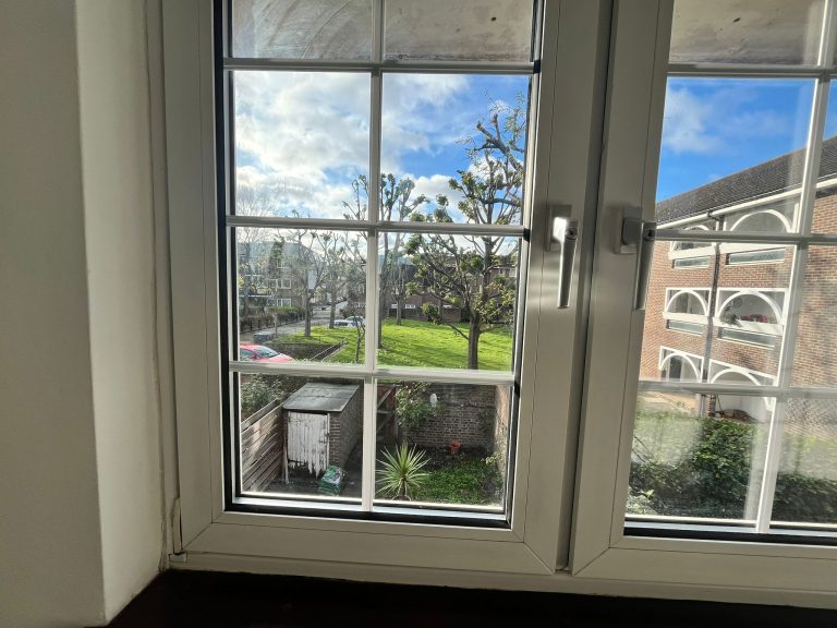 motion photo 4786252406124598942 768x576