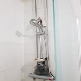 434915950 955509642772280 5642764080051409452 n