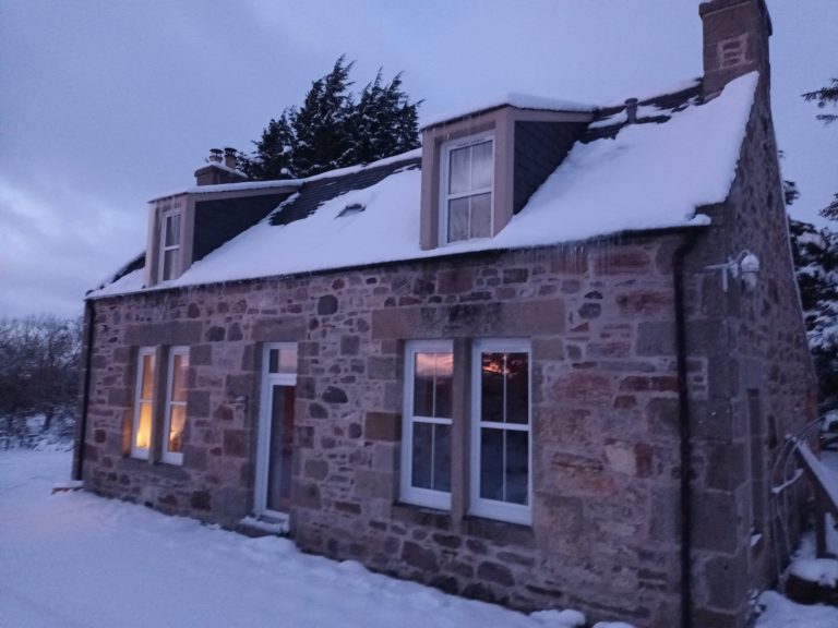 20260105 162428 768x576