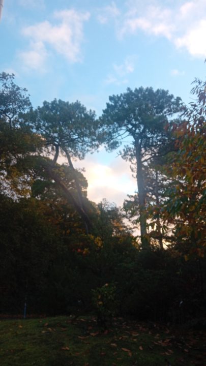 IMG 20251108 WA0002 405x720