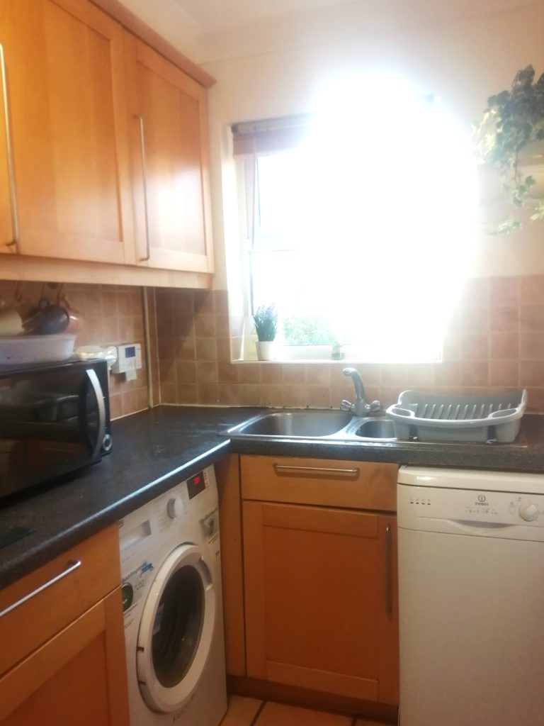 IMG 20260328 062248 768x1024